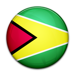 Flag Of Guyana Icon 256x256 png
